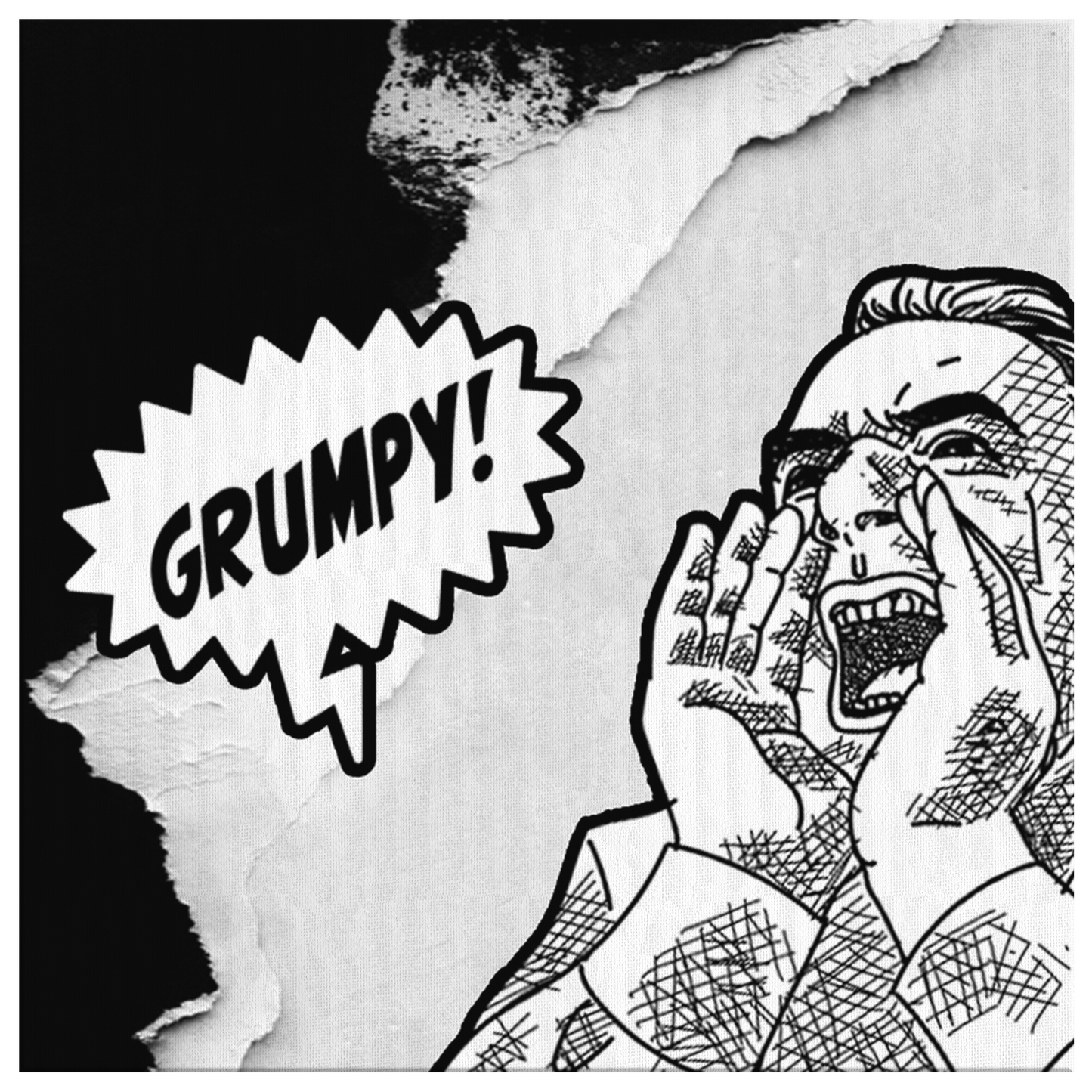 GRUMPY SCREAM GALLARY CANVAS WALL ART